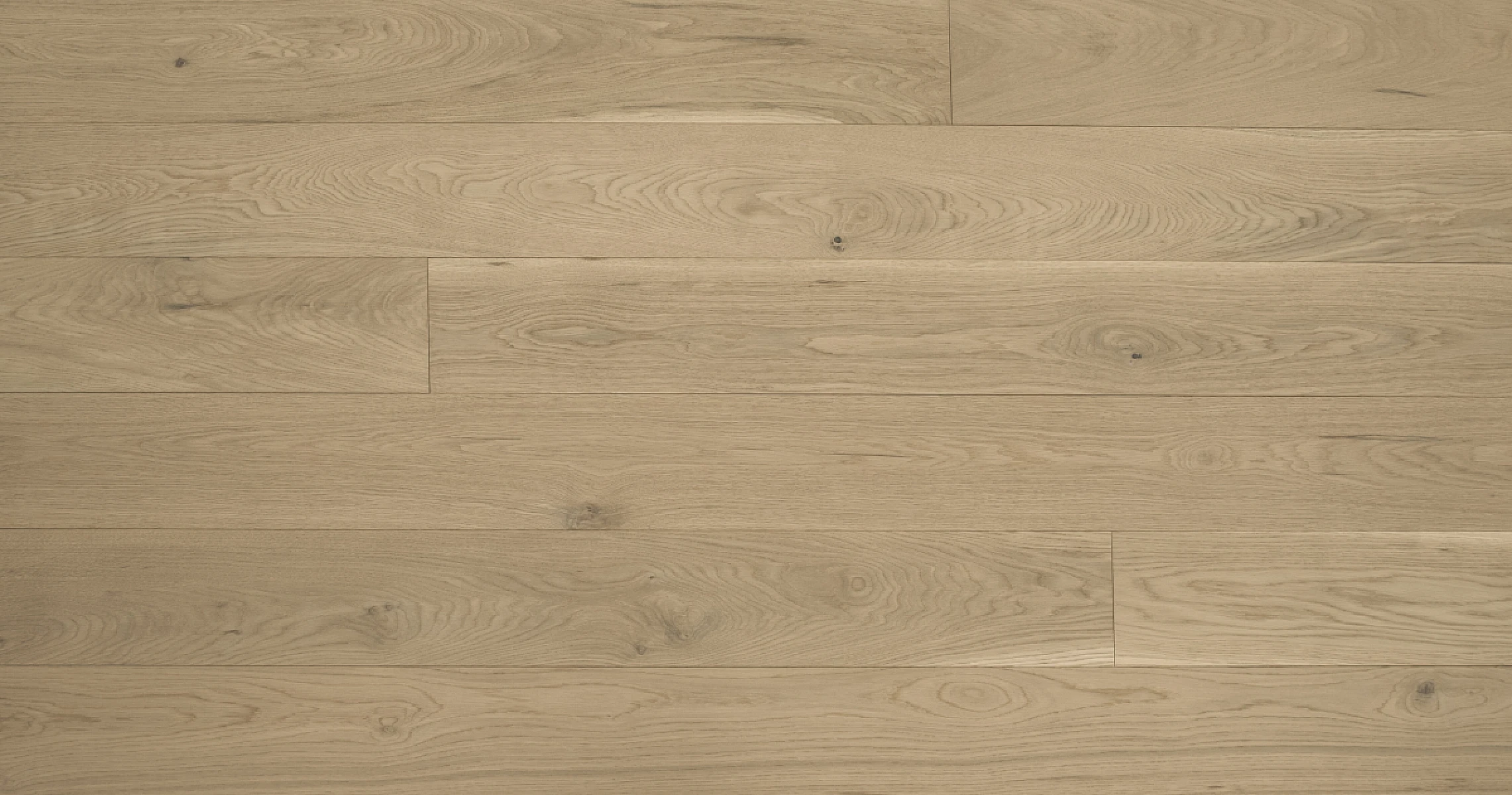 Macaroon American White Oak 7" Character 