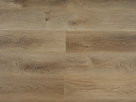 LVT05 — image 2 of 2
