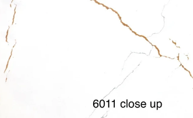 6011 Quartz Countertop