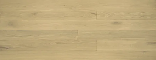 Moon Light  5" ABCD Click 