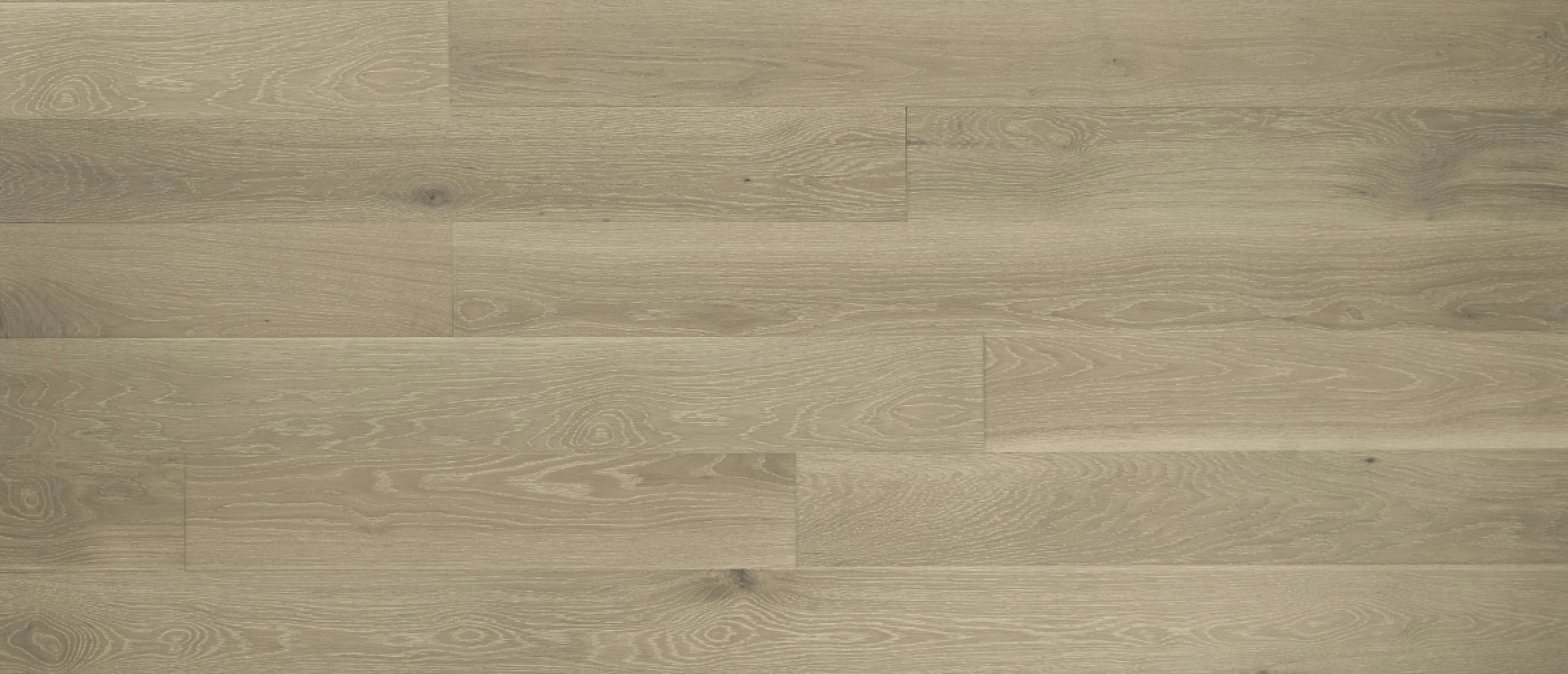 Wheat Berry 6" Select 