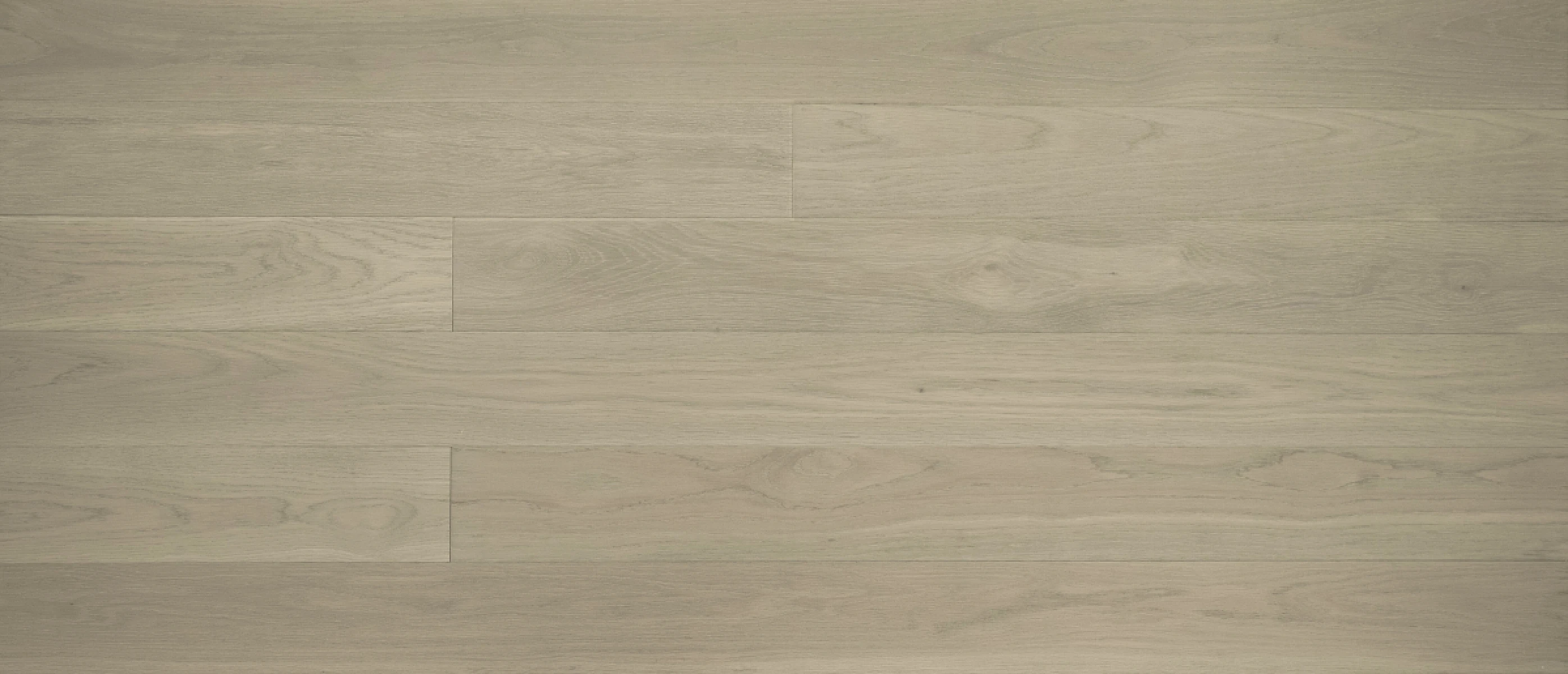 Silver Stone 6" Select 