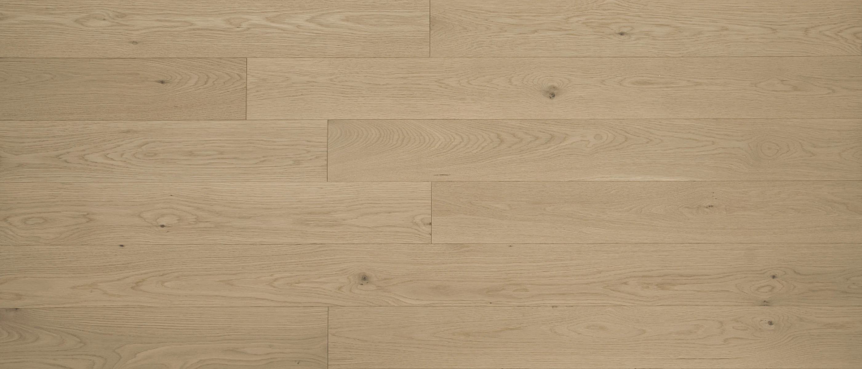 Macaroon 6" American Oak ABCD 