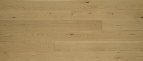 Honey Wheat  6" ABCD