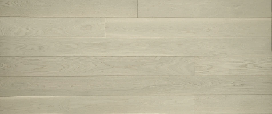 Fortino 6"  Select&better 