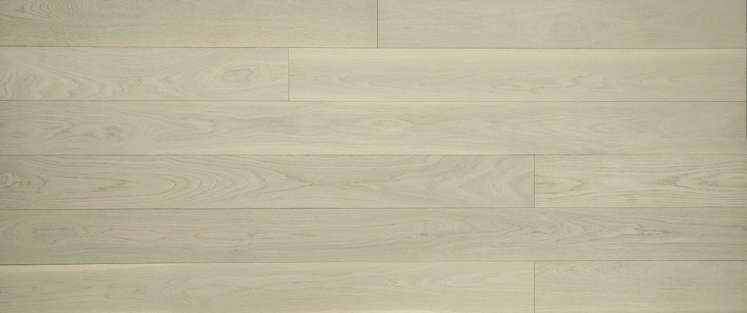 Fortino 6"  Select&better 