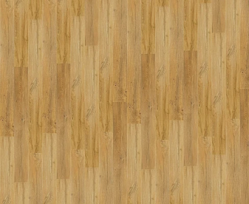 Duca  — image 2 of 3
