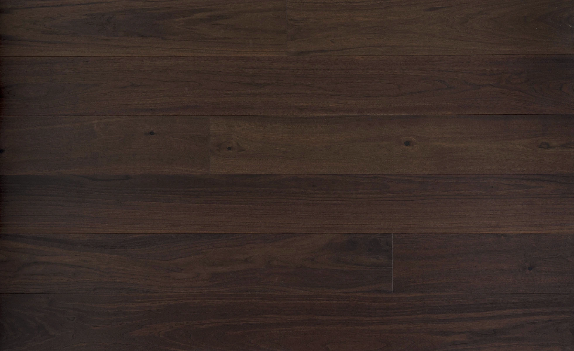 Chocolate American Black walnut 7" select