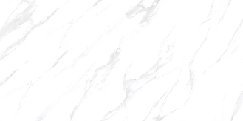 Casa Satuario 24x48 Polished