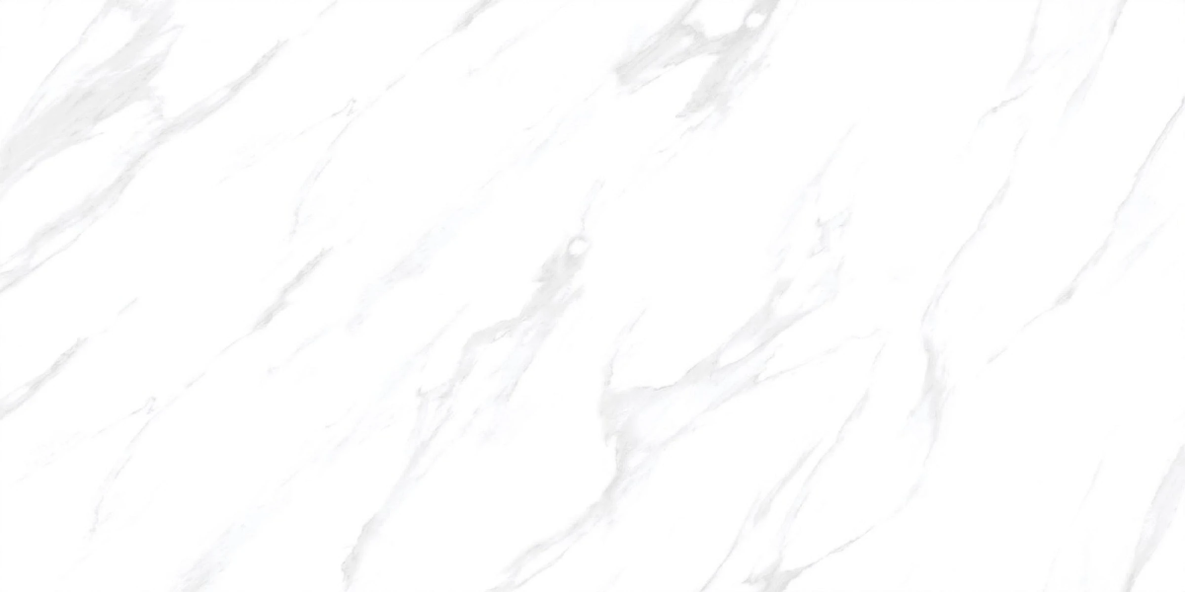 Casa Satuario 24x48 Polished