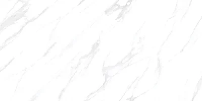 Casa Satuario 24x48 Polished